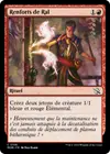 Product image for Renforts de Ral