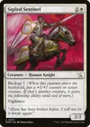 Product image for Sigiled Sentinel