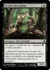 Product image for Druide flétriglèbe