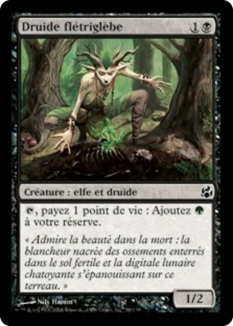 Druide flétriglèbe — Morningtide — Magic: The Gathering