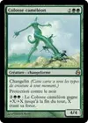 Product image for Colosse caméléon