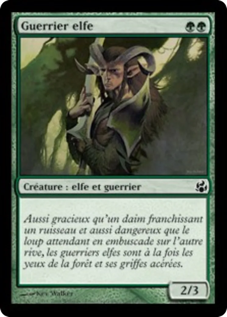 Guerrier elfe — Morningtide — Magic: The Gathering