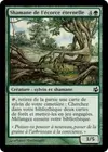Product image for Shamane de l'écorce éternelle
