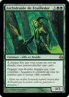 Product image for Archidruide de Feuilledor