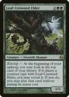 Product image for Leaf-Crowned Elder