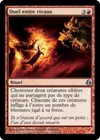 Product image for Duel entre rivaux