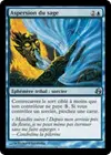 Product image for Aspersion du sage