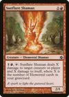Product image for Sunflare Shaman