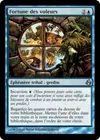 Product image for Fortune des voleurs