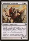 Product image for Wandering Graybeard