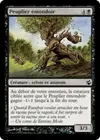 Product image for Peuplier émondoir