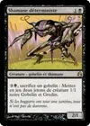 Product image for Shamane déterministe