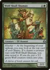 Product image for Wolf-Skull Shaman