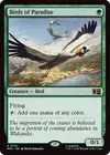 Product image for Birds of Paradise