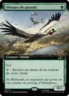 Product image for Oiseaux de paradis