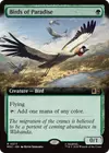 Product image for Birds of Paradise