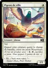Product image for Pigeon de ville