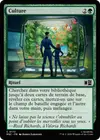 Product image for Culture