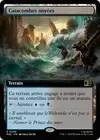 Product image for Catacombes noyées