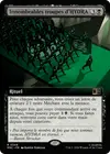 Product image for Innombrables troupes d'HYDRA