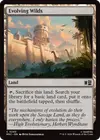 Product image for Evolving Wilds