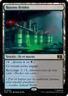 Product image for Bassins fétides