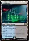 Product image for Fetid Pools