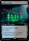 Product image for Bassins fétides