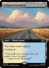 Product image for Irrigated Farmland