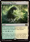 Product image for Razorverge Thicket