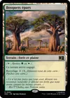 Product image for Bosquets épars