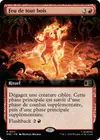 Product image for Feu de tout bois
