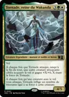 Product image for Tornade, reine du Wakanda