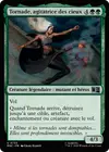 Product image for Tornade, agitatrice des cieux