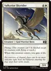 Product image for Valkyrior Skyrider