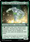 Product image for Tigre Blanc, gardien de l'amulette