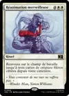 Product image for Réanimation merveilleuse