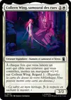 Product image for Colleen Wing, samouraï des rues