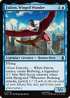 Product image for Falcon, Winged Wonder