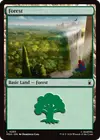 Product image for Forest