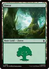 Product image for Forest