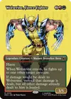 Product image for Wolverine, Fierce Fighter
