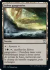 Product image for Sylves gangrenées