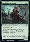 Product image for Druidesse dévouée