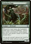 Product image for Evolution Sage