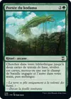 Product image for Portée du kodama