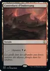 Product image for Contreforts d'Ombresang