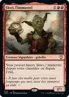 Product image for Skwi, l'immortel