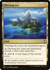 Product image for Thriving Isle