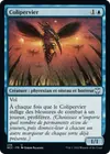 Product image for Colipervier